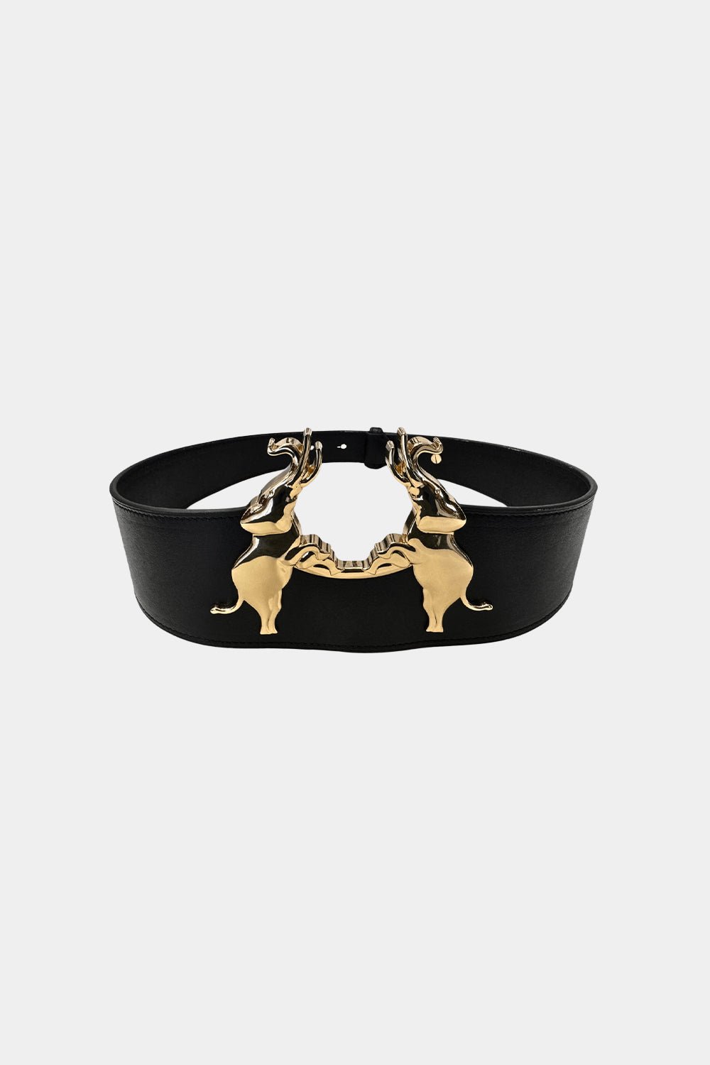 Gert - Johan Coetzee Ndlovu belt - Gert - Johan Coetzee