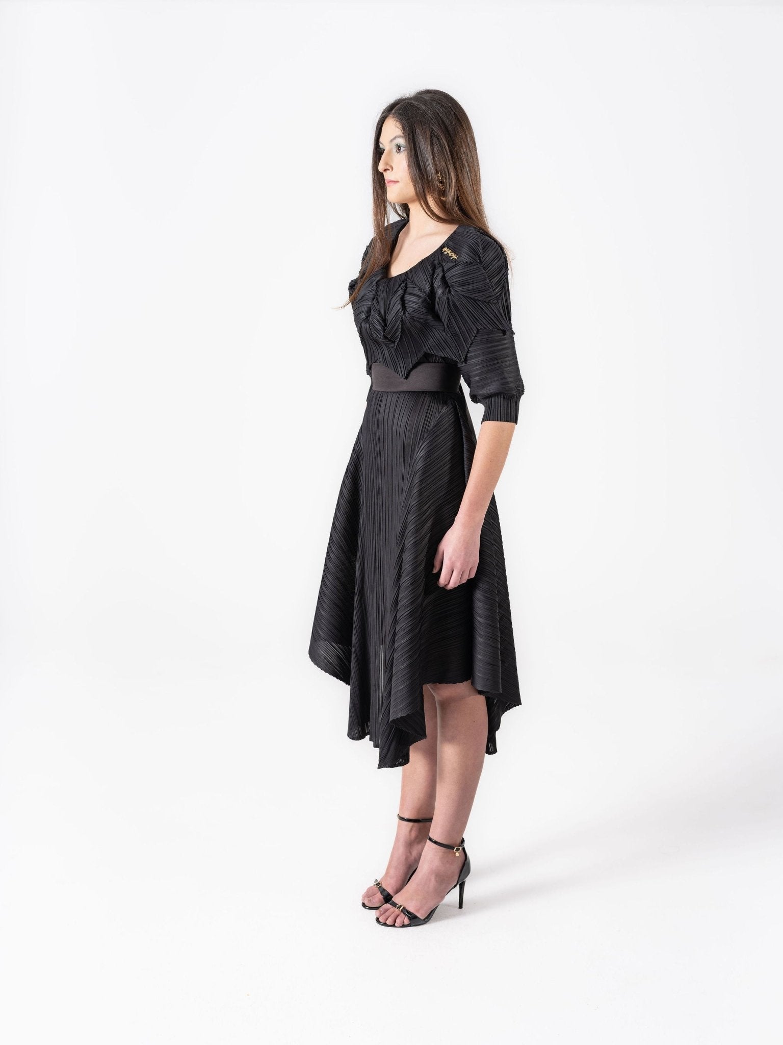 A - Line Pleated Dress - Gert - Johan Coetzee